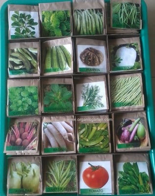 25 Varieties Vegetable Seed Pack