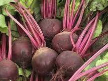 Beetroot