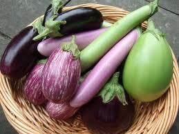 Brinjal