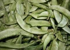 Broad Beans