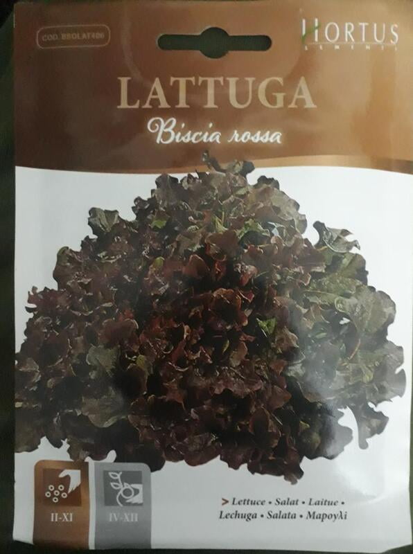 Lettuce Biscia Rossa Lettuce Biscia Rossa