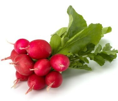 Radish Scarlet Red - Globe