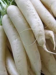 Radish