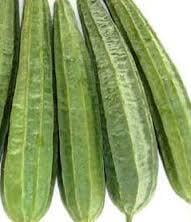 Ridge Gourd