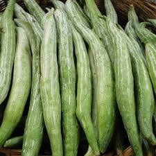 Snake Gourd