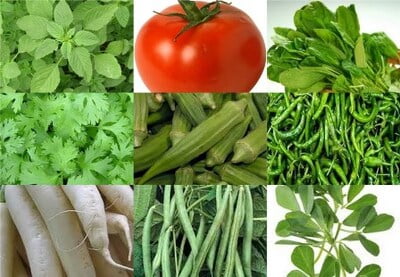Starter Vegetable Seed Pack